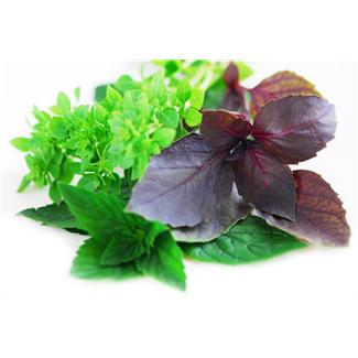 The Skinny on Herbs