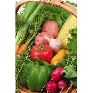 Speed Up Your Weight Loss By Vegging Out