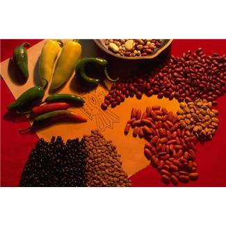 Lose Weight with Meatless Mondays