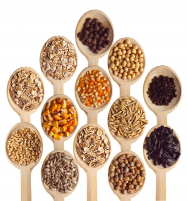 Chia Seeds: Magic Bullet or False Claim?